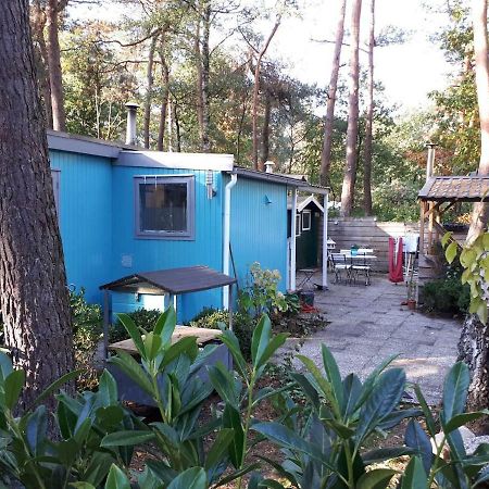 Boshuis Turquoise / Smaakvol Genieten Op De Veluwe Hoenderloo Kültér fotó