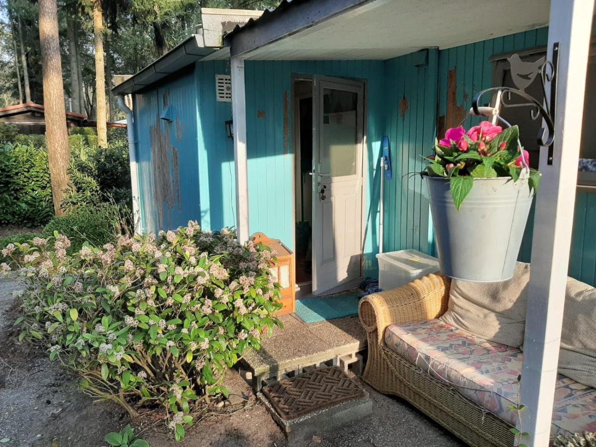 Boshuis Turquoise / Smaakvol Genieten Op De Veluwe Hoenderloo Kültér fotó