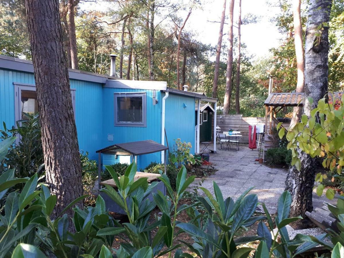 Boshuis Turquoise / Smaakvol Genieten Op De Veluwe Hoenderloo Kültér fotó