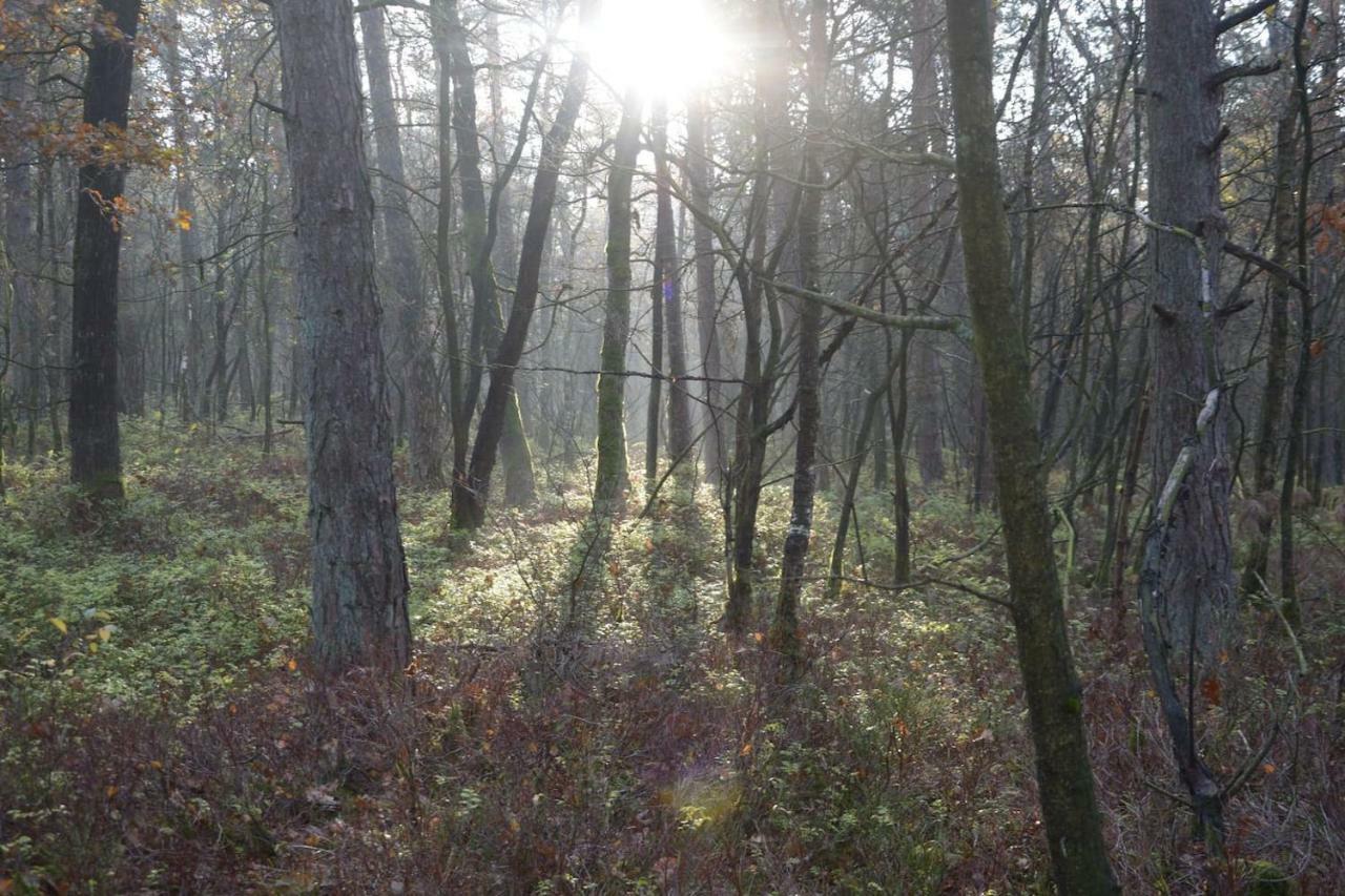 Boshuis Turquoise / Smaakvol Genieten Op De Veluwe Hoenderloo Kültér fotó