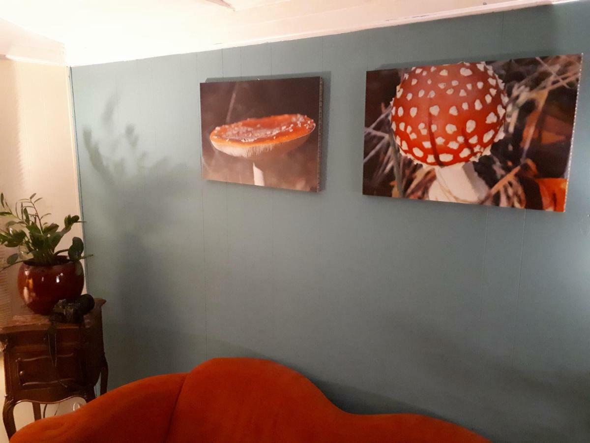 Boshuis Turquoise / Smaakvol Genieten Op De Veluwe Hoenderloo Kültér fotó