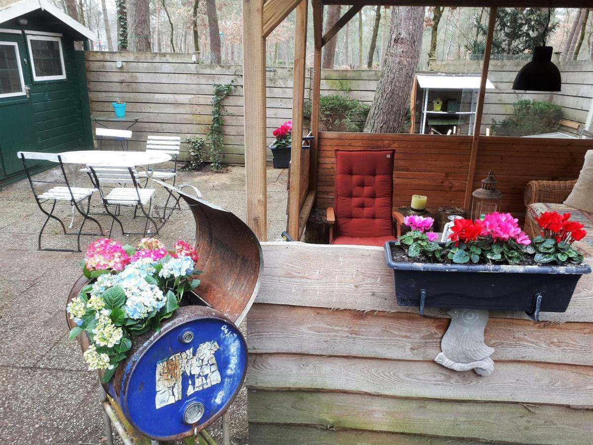 Boshuis Turquoise / Smaakvol Genieten Op De Veluwe Hoenderloo Kültér fotó